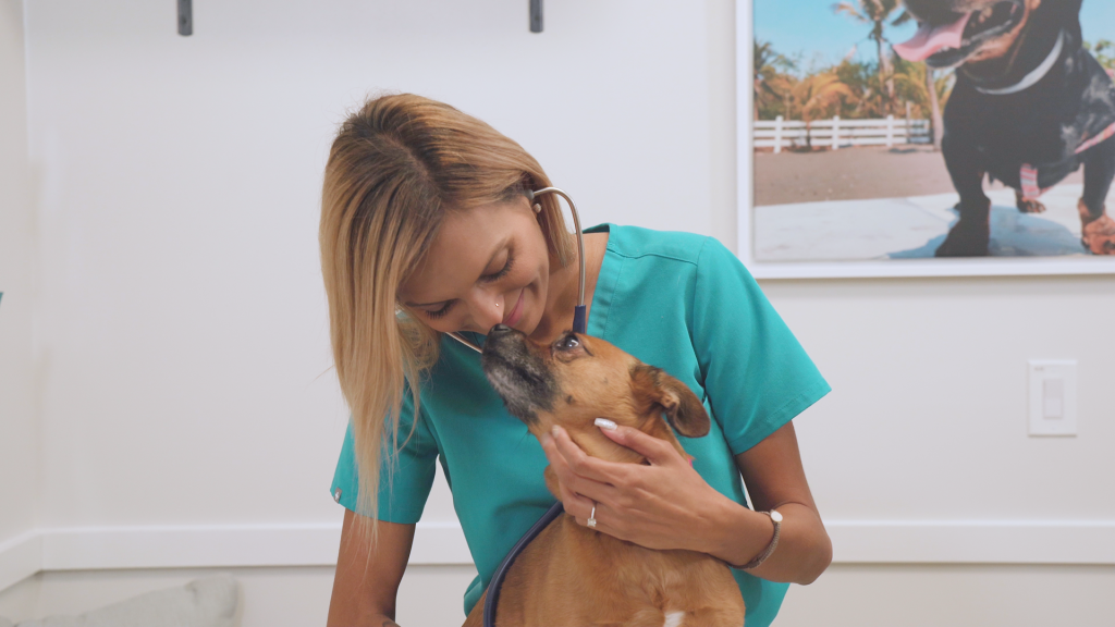 veterinarian examining dog